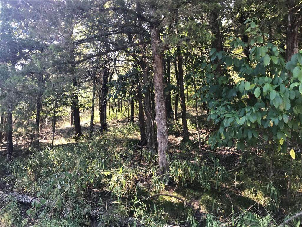 Lot 82 Cedar Drive - Photo 1