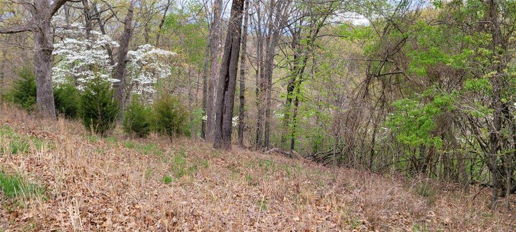 Lot 72 Valley View Place - Photo 1