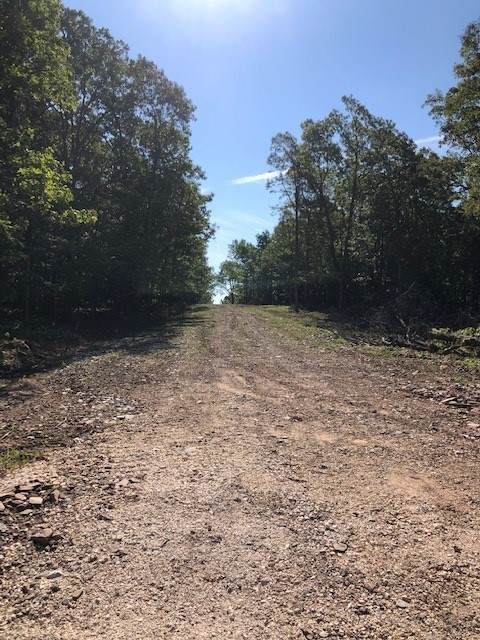 https://bt-photos.global.ssl.fastly.net/arkansas/orig_boomver_1_1182073-2.jpg
