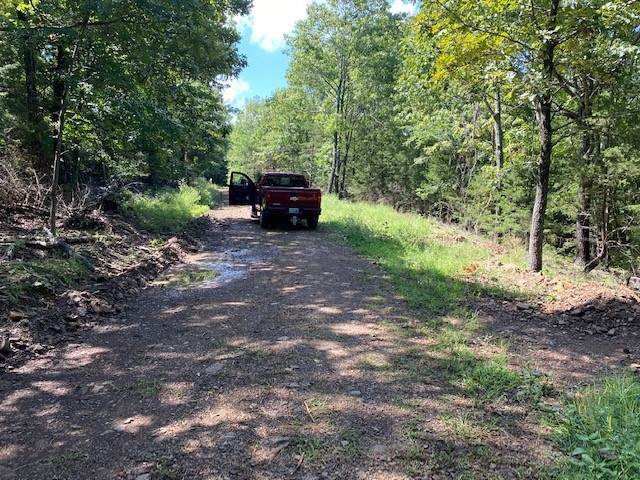 https://bt-photos.global.ssl.fastly.net/arkansas/orig_boomver_1_1182073-2.jpg