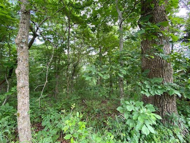 67 Mercury Lane - Photo 1