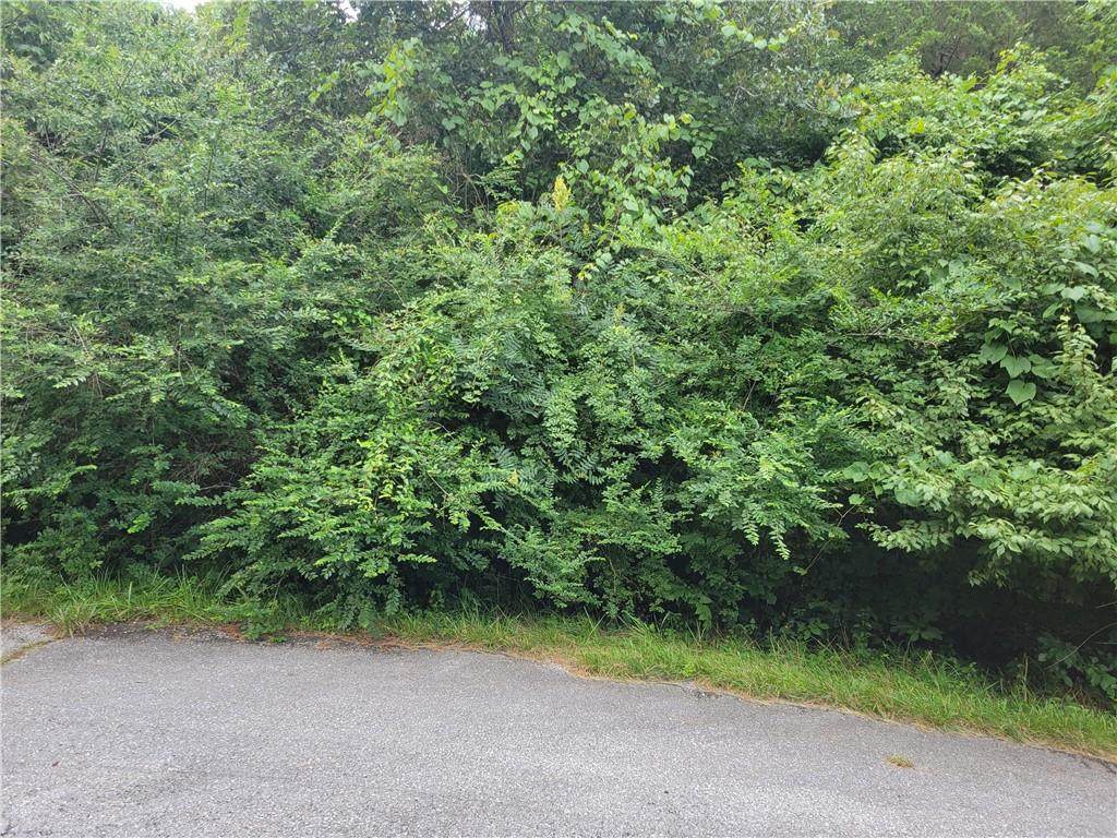 Lot 6 Mcginnis Lane - Photo 1
