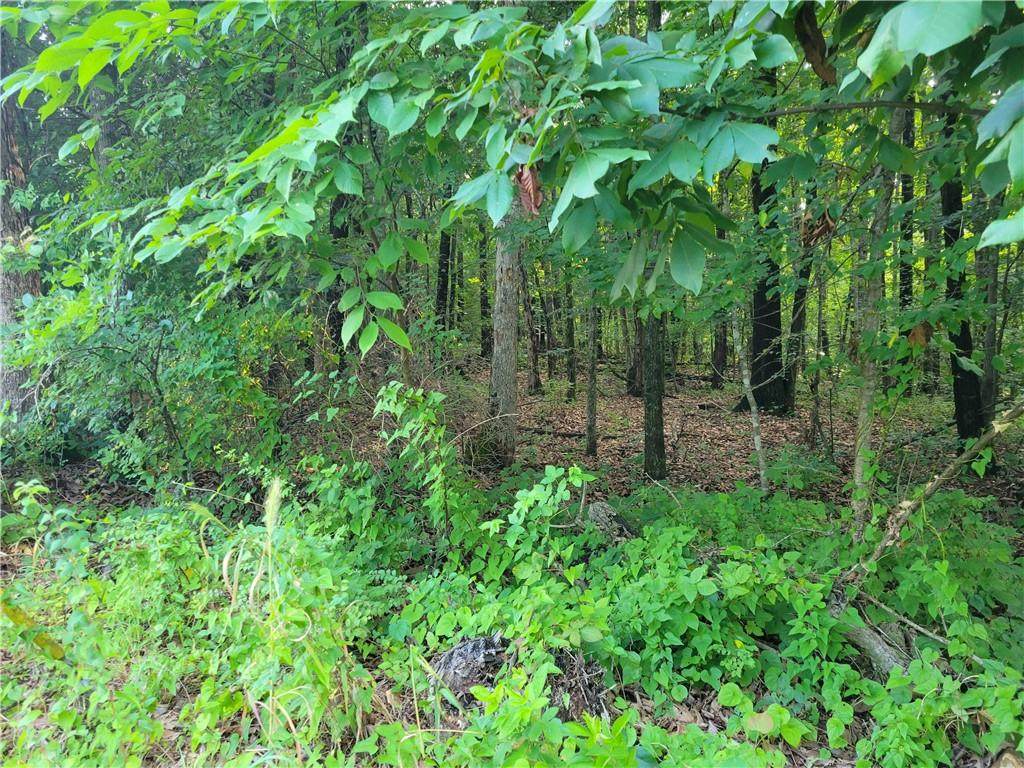 Lot 10 Longridge Lane - Photo 1