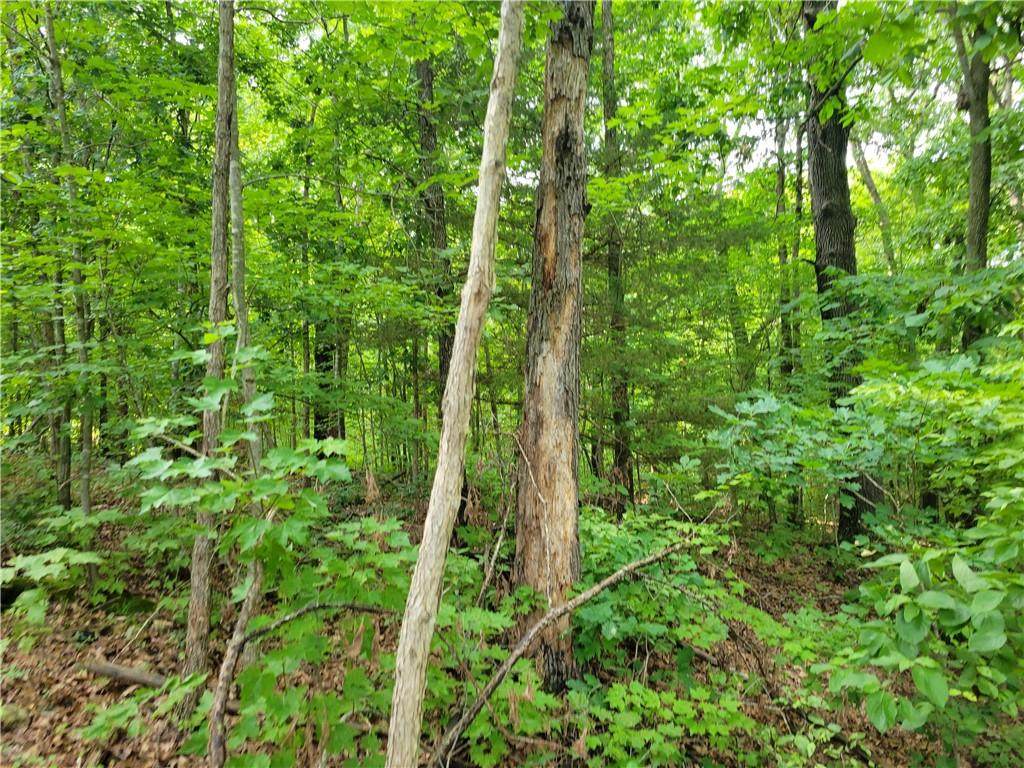 Lot 4 Cargill Drive - Photo 1