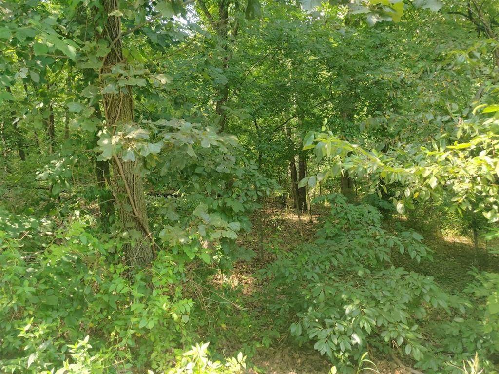 (Lot 5/Block 4) Mayfair Drive - Photo 1