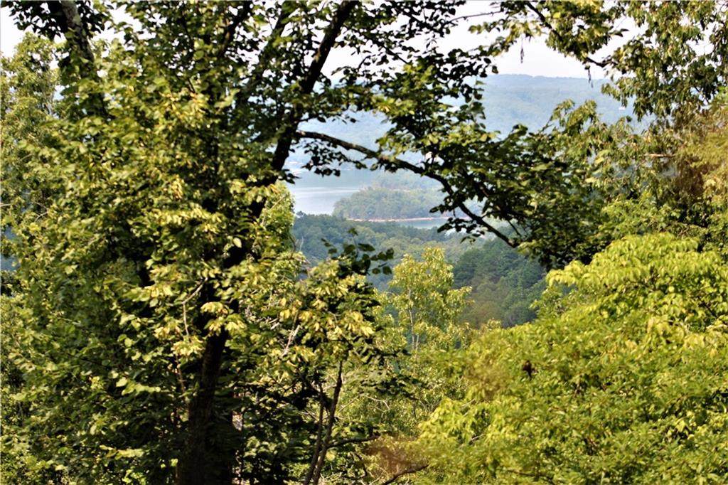 745 County Road 155 - Photo 1