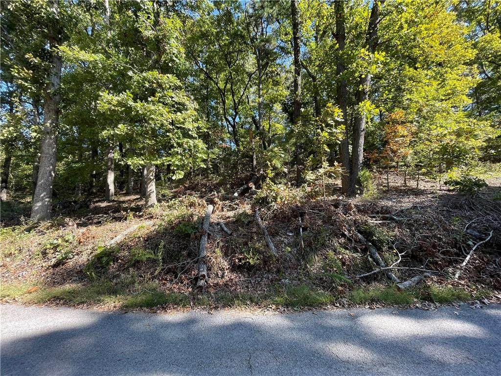 Lot 5 Cedar Terrace - Photo 1