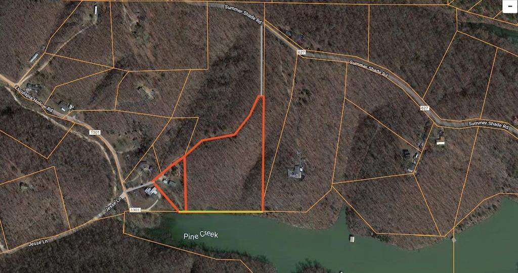 14910 Esculapia Hollow Road - Photo 1