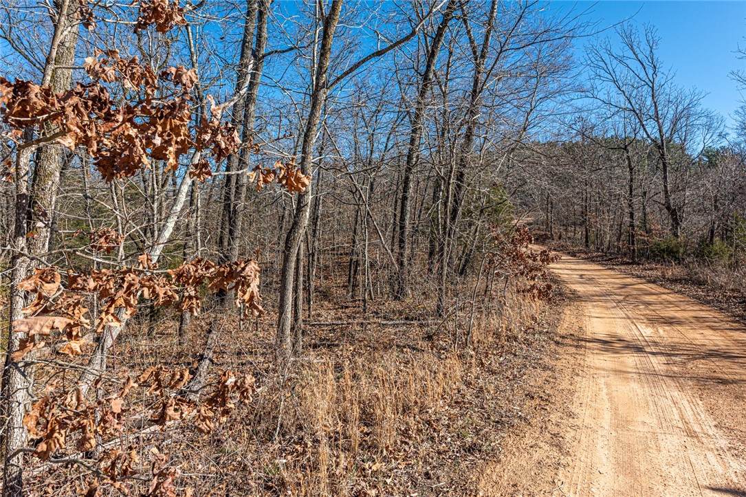 Tract 2 Hickory Springs Road - Photo 1