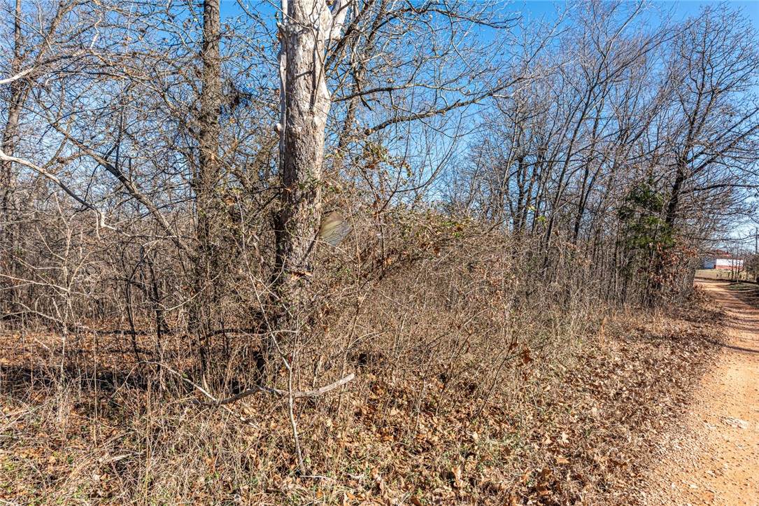 Tract 3 Hickory Springs Road - Photo 1