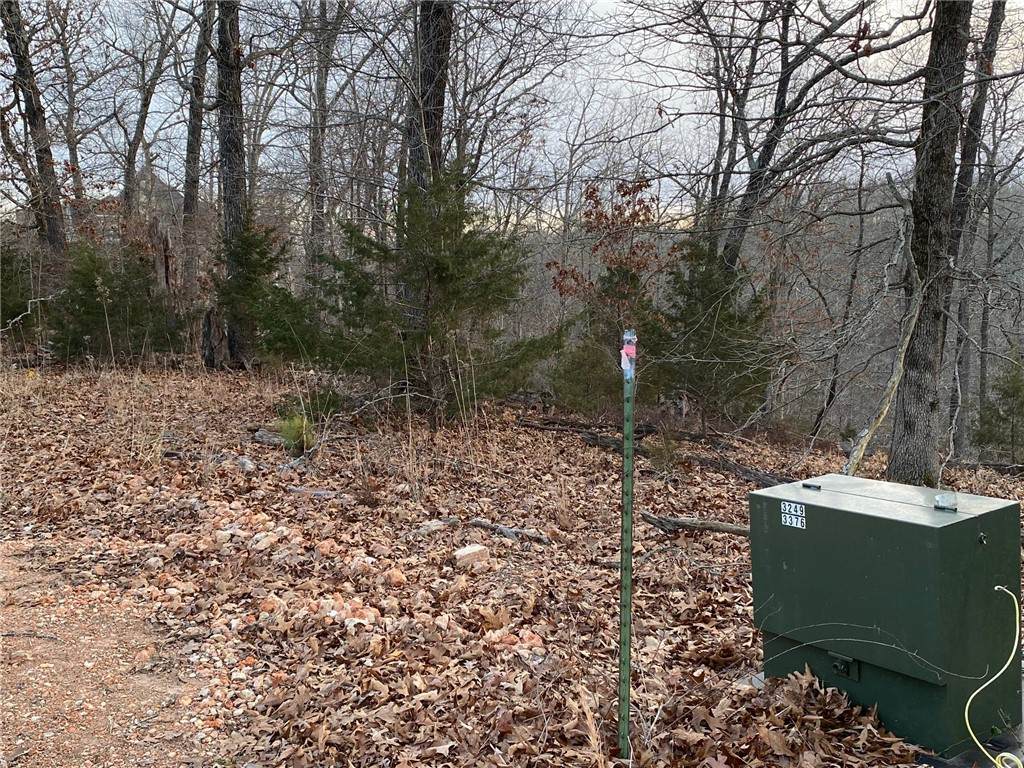 Lot# 18 Ozark Ridge Drive - Photo 1
