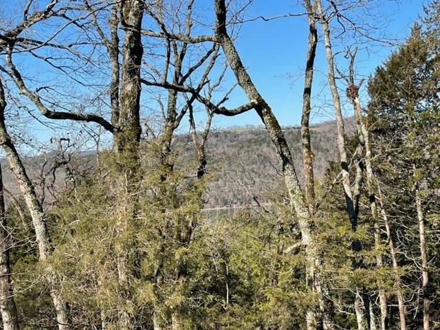 17 Quail Run Drive - Photo 1