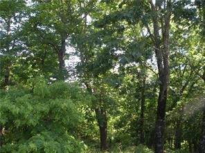 50 Cypress - Photo 1