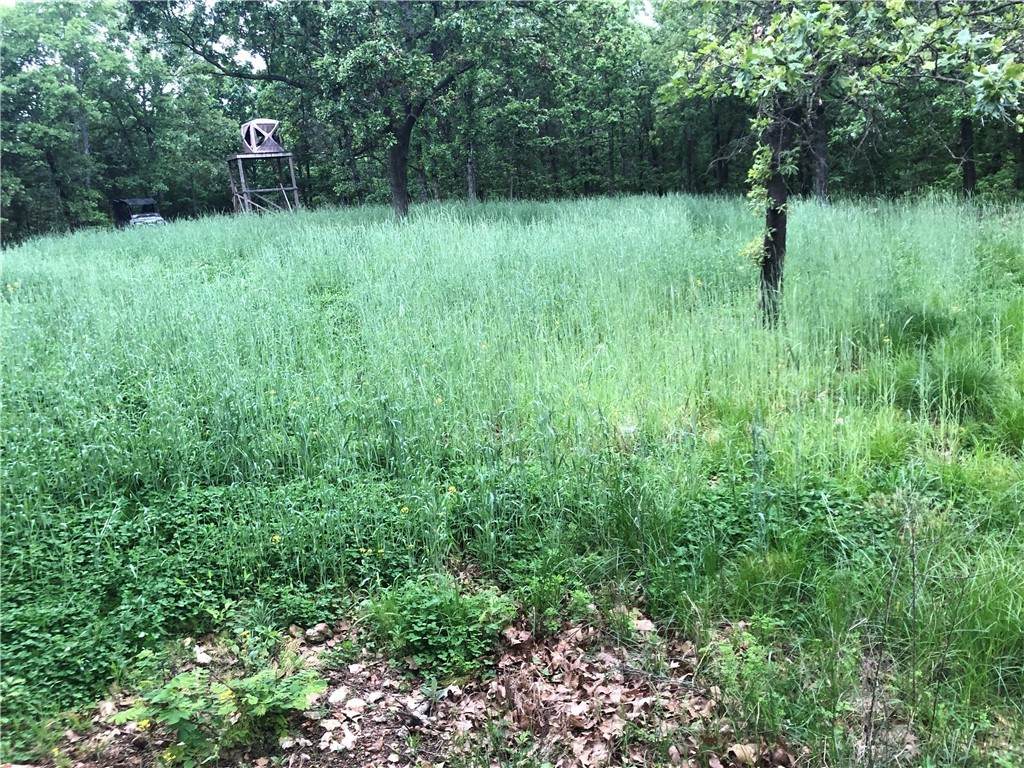 Tbd - Photo 1