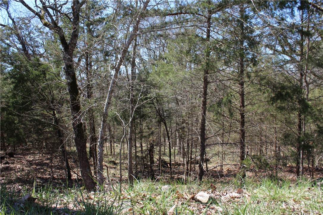 26 Quail Run Drive - Photo 1