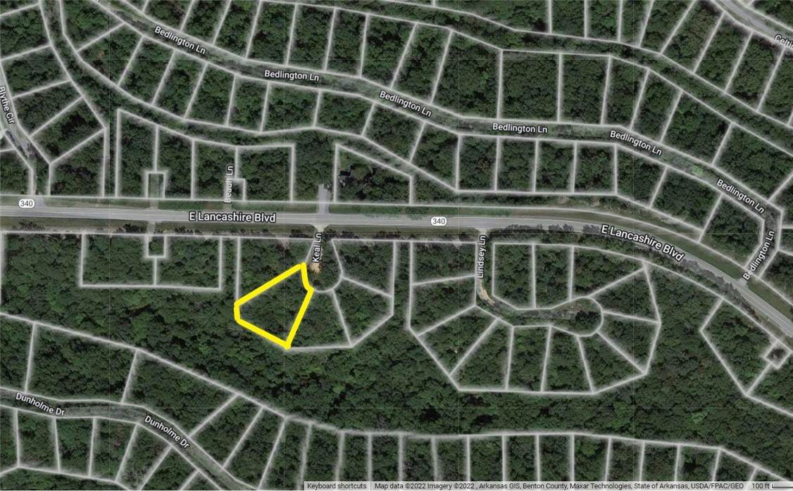 0.39AC Keal Lane - Photo 1