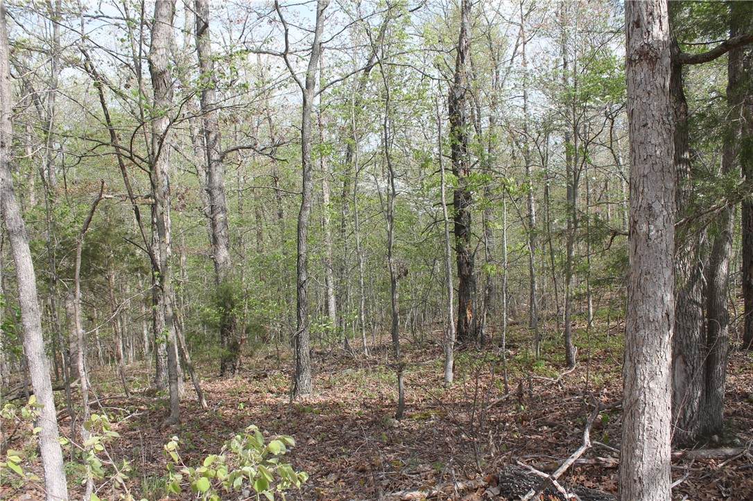 Littrell/Berkshire Drive - Photo 1