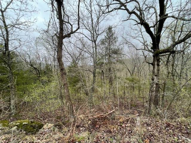 36 Starlite Avenue - Photo 1