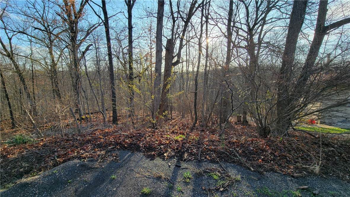 Lot 18 Nelson Lane - Photo 1