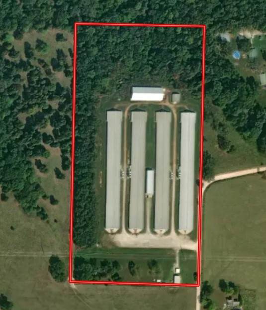 19212 Jackson Road - Photo 1