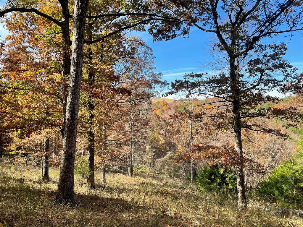 80 County Road 147 - Photo 1