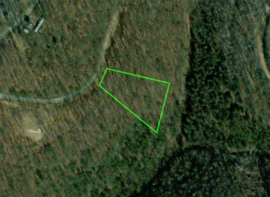 TBD Cove Lane - Photo 1