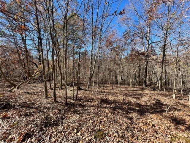  Ar-102 Highway - Photo 1