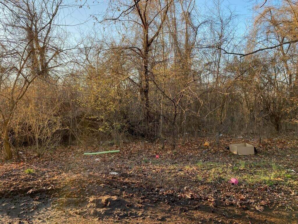 XX (+/- 2.3 ac) Ozark Avenue - Photo 1