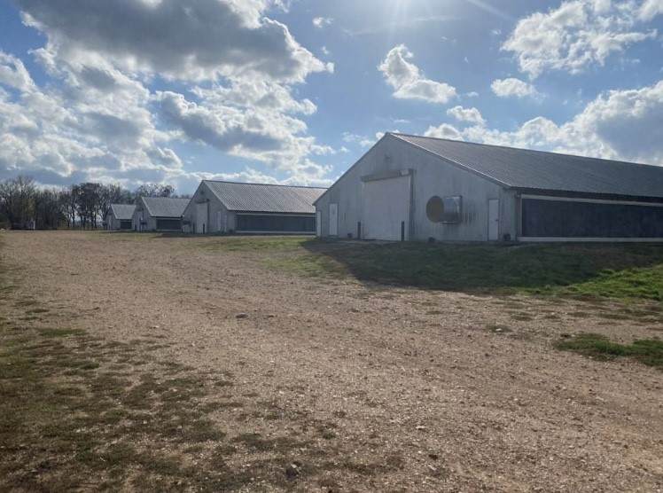 21743 Bozarth Cemetery Road - Photo 1