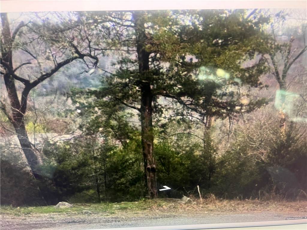 Lot 25 of Block 2 Deer Run Lane - Photo 1
