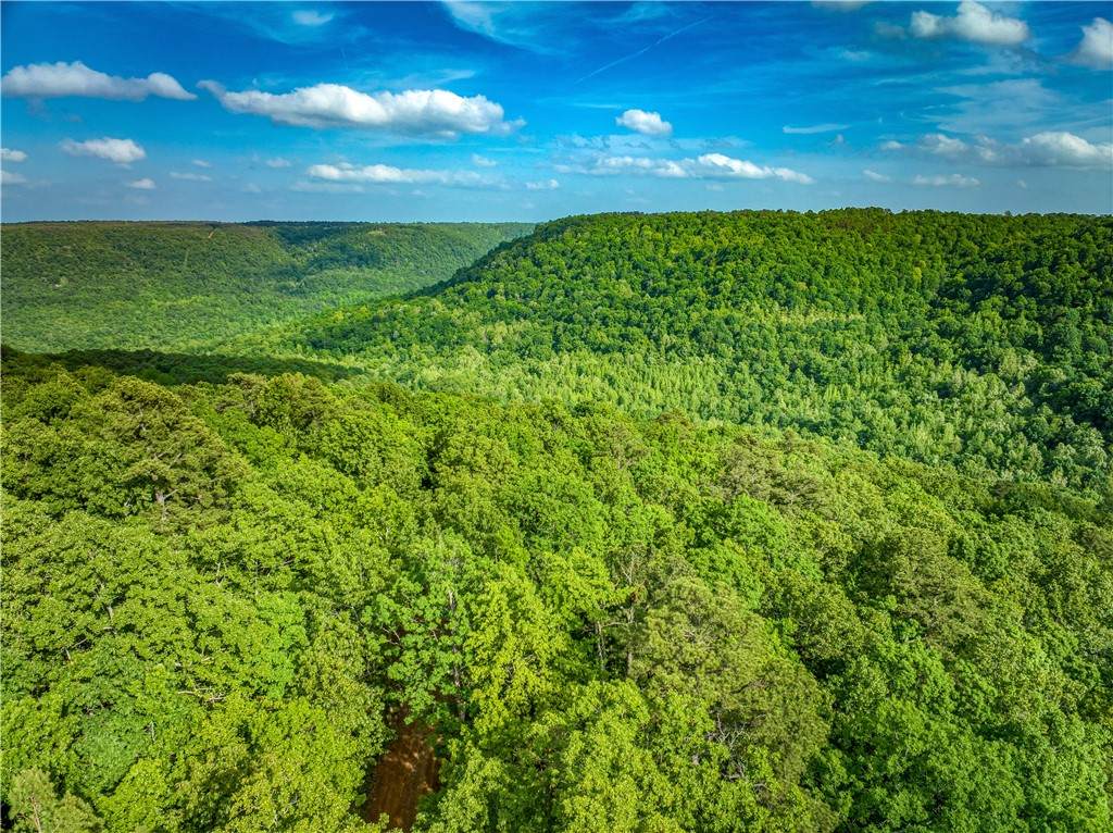 213 Scenic - Photo 1