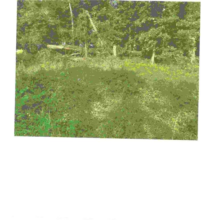 Argyll Drive - Photo 1