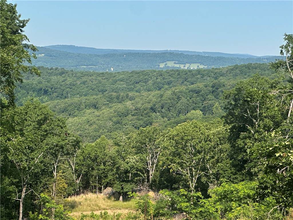 Tbd Madison Cr 6021 - Photo 1