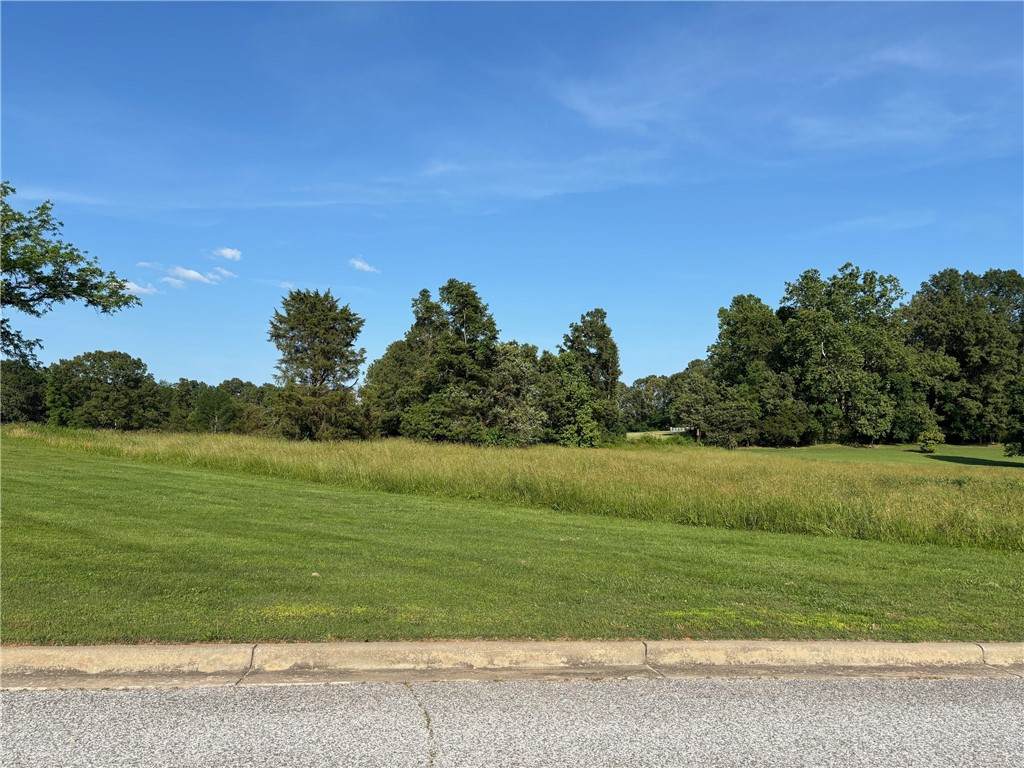 3147 Savannah Drive - Photo 1