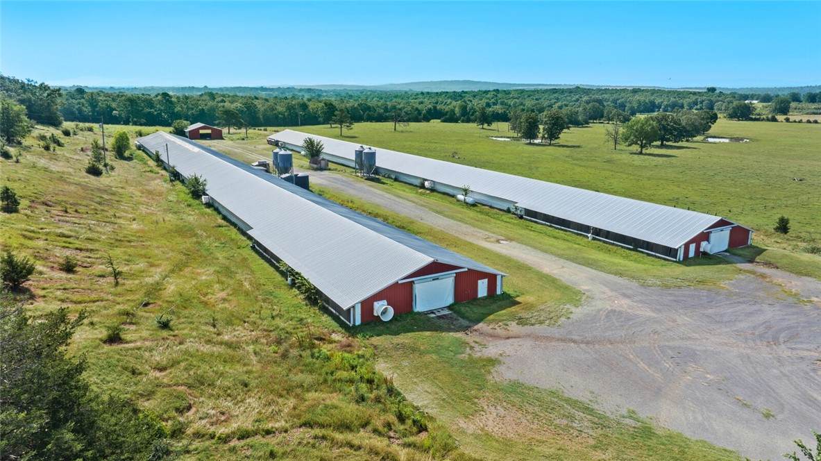 37764 Petetree Road - Photo 1