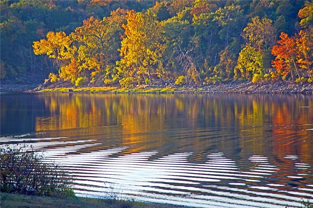 https://bt-photos.global.ssl.fastly.net/arkansas/orig_boomver_1_1311970-2.jpg