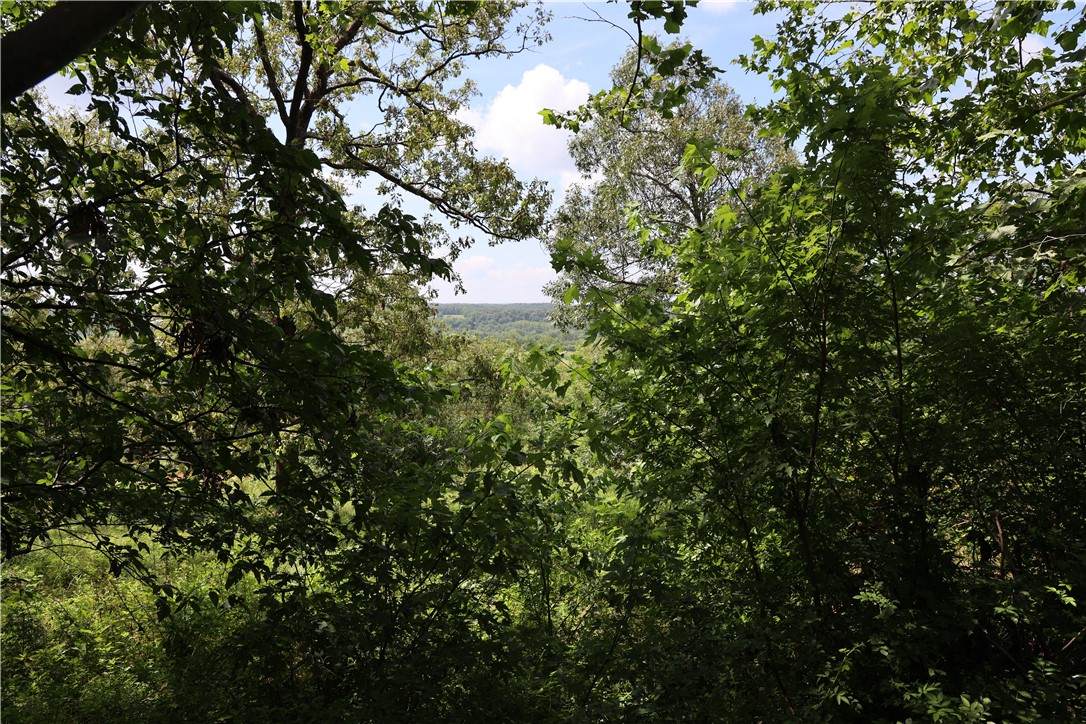 https://bt-photos.global.ssl.fastly.net/arkansas/orig_boomver_1_1312860-2.jpg