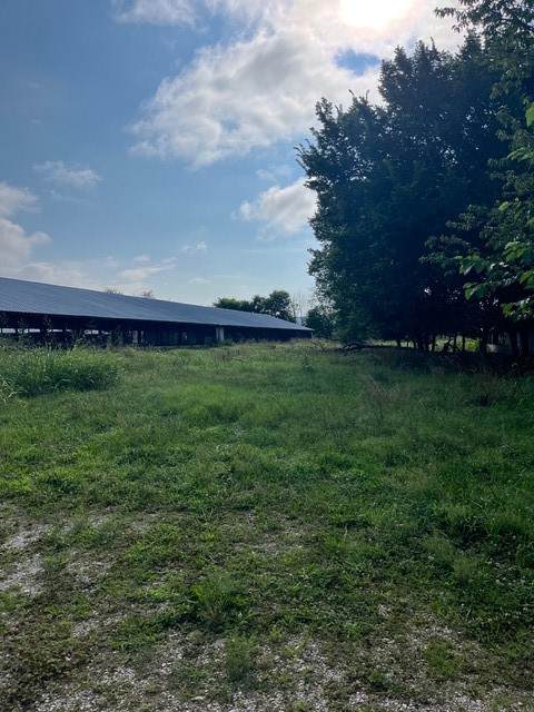 Lot 4 - 12253 Clyde Carnes Road - Photo 1