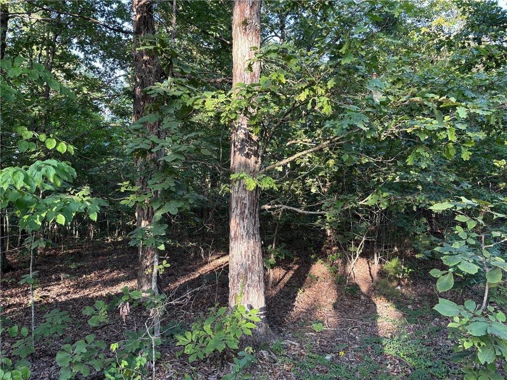https://bt-photos.global.ssl.fastly.net/arkansas/orig_boomver_1_1315660-2.jpg