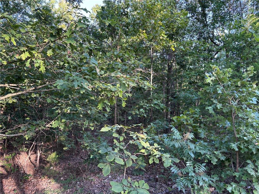https://bt-photos.global.ssl.fastly.net/arkansas/orig_boomver_1_1315660-2.jpg