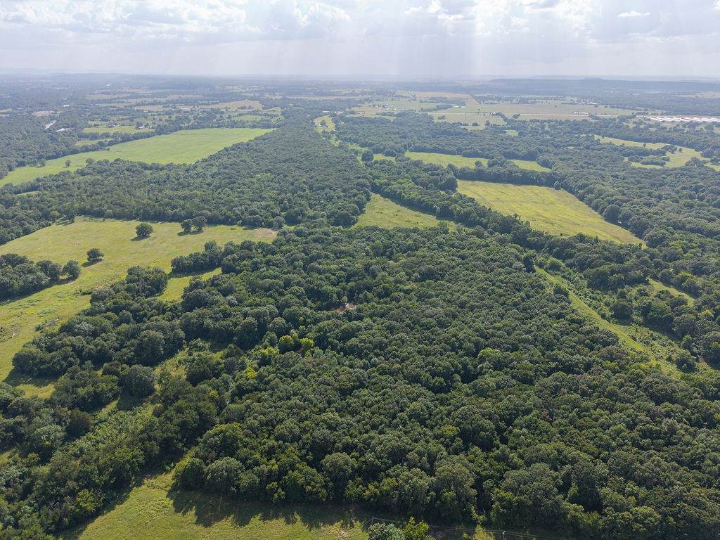 013 Rhino Road - Photo 1