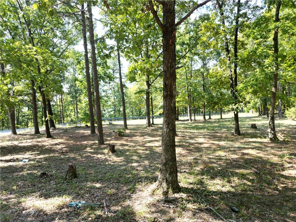 507 Henderson Road - Photo 1