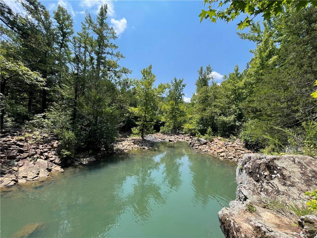 360 Acres Pigeon Creek Road - Photo 1