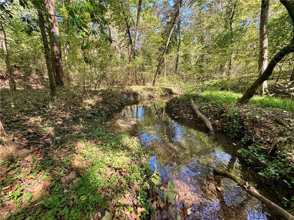 TBD Lake Francis Road - Photo 1