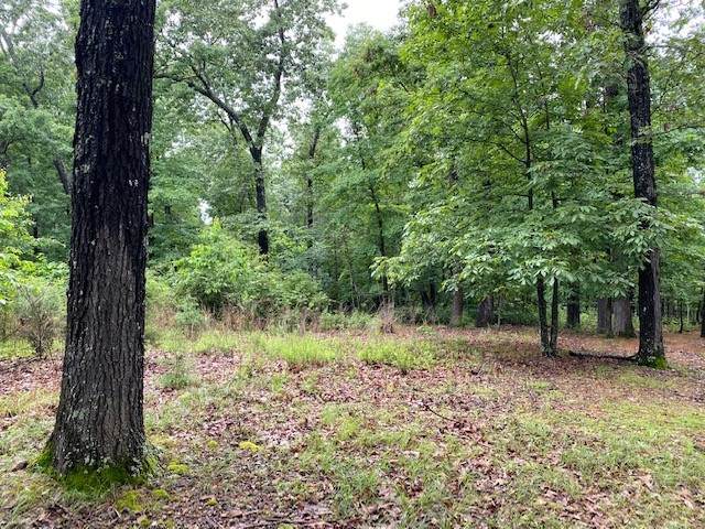 Lot 5 Lakeview Drive - Photo 1