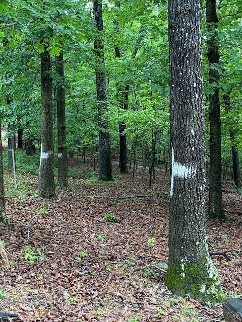 https://bt-photos.global.ssl.fastly.net/arkansas/orig_boomver_1_1324986-2.jpg