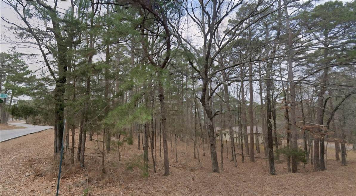 Lot 2 Oakwood Lane - Photo 1