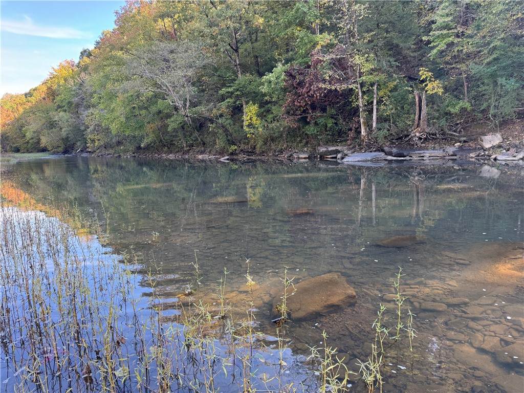 7322 Lancaster Road - Photo 1