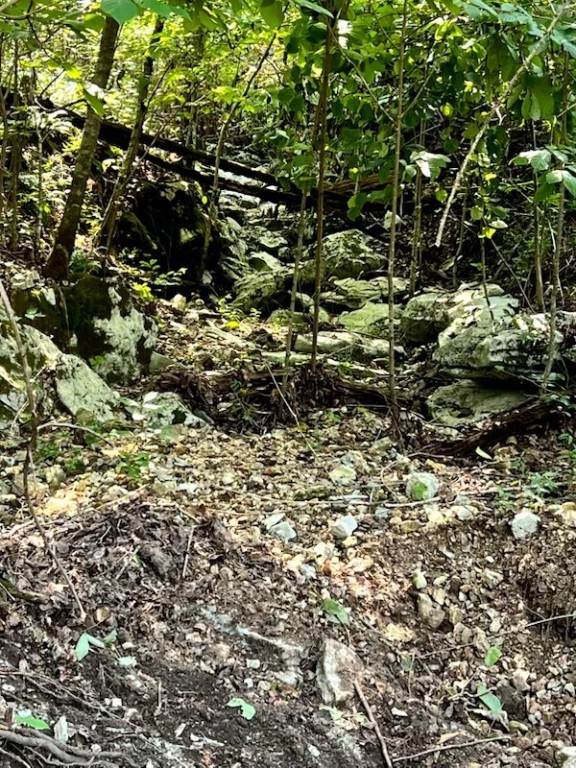 1272 Ramblewood Trail - Photo 1