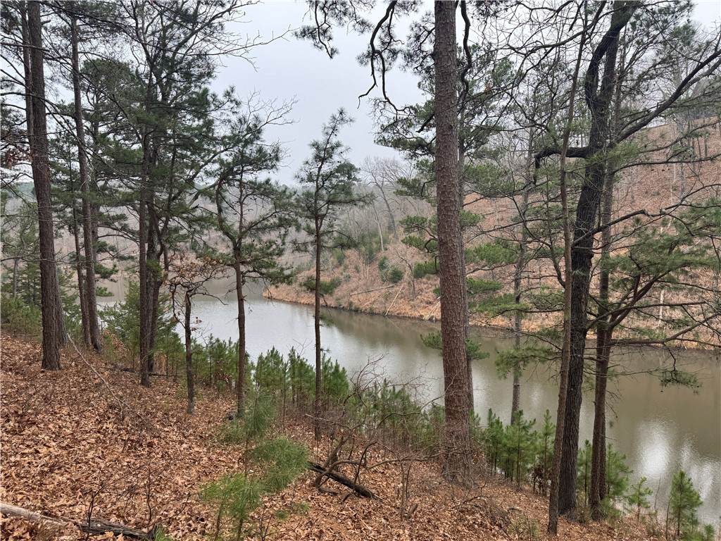 https://bt-photos.global.ssl.fastly.net/arkansas/orig_boomver_1_1332059-2.jpg